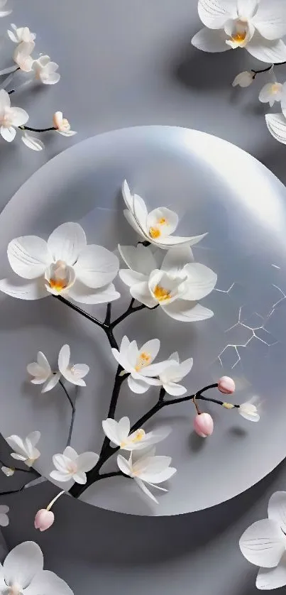 Elegant wallpaper with white orchids on gray background.