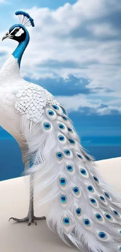 Elegant white peacock against blue sky, perfect for mobile wallpaper.