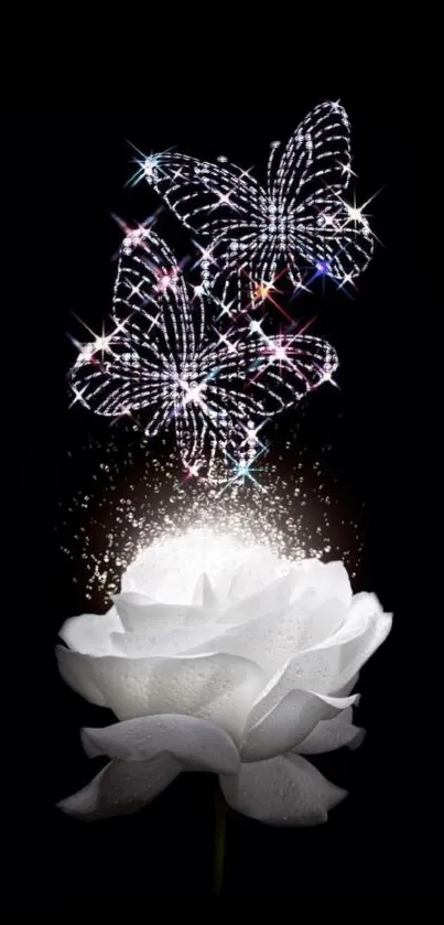 A glowing white rose with sparkling butterflies on a black background.