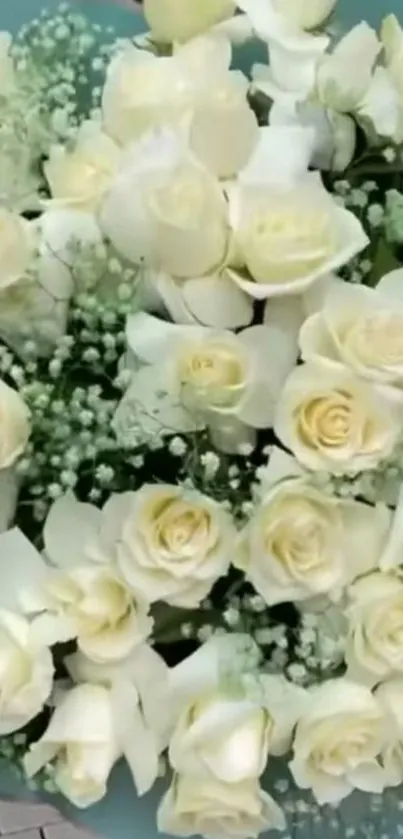 Elegant bouquet of white roses and baby's breath on a soft background.