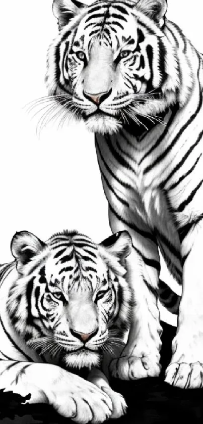 Black and white tiger artwork for mobile wallpaper.