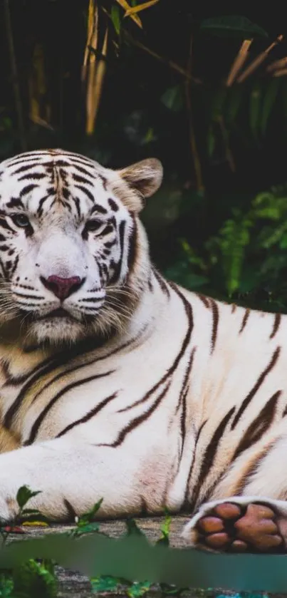 A majestic white tiger lying in a lush green jungle setting.