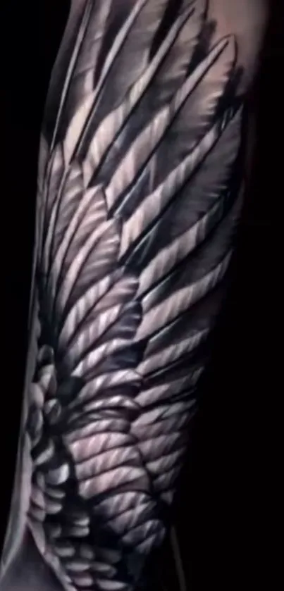 Intricate wing tattoo on dark background.