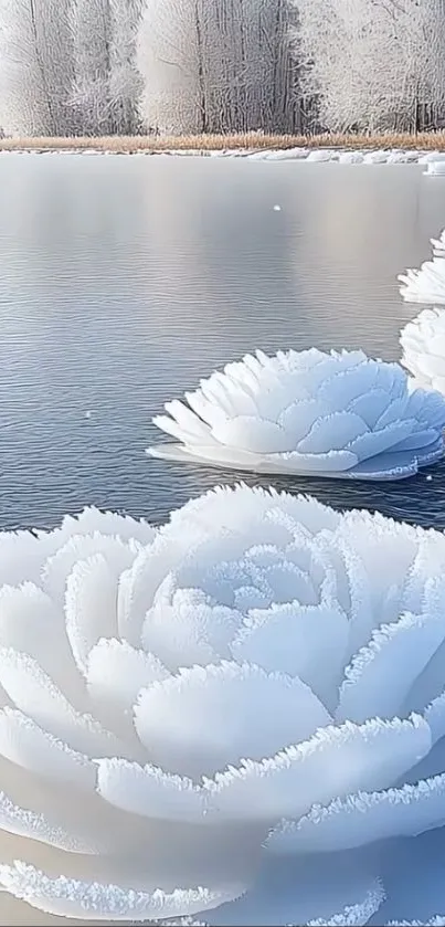 Frost flowers floating on serene winter lake