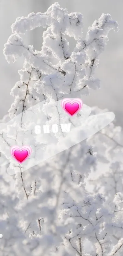 Frosty branches with pink hearts in a winter landscape.