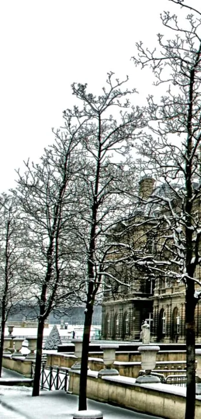 Snowy street with trees and classical building in winter.