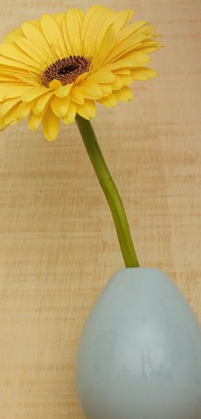 Yellow flower in blue vase against beige background.