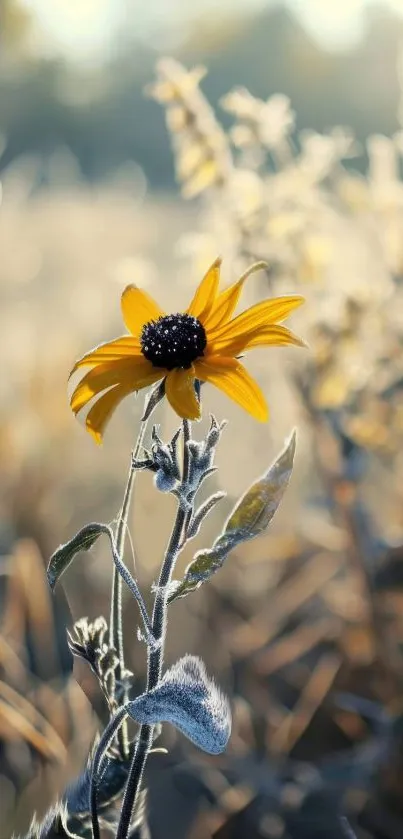 Vibrant yellow flower with soft-focus nature background on a mobile wallpaper.