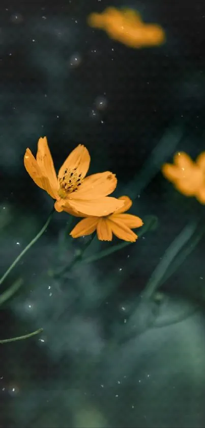 Mobile wallpaper with yellow flowers on a dark background.