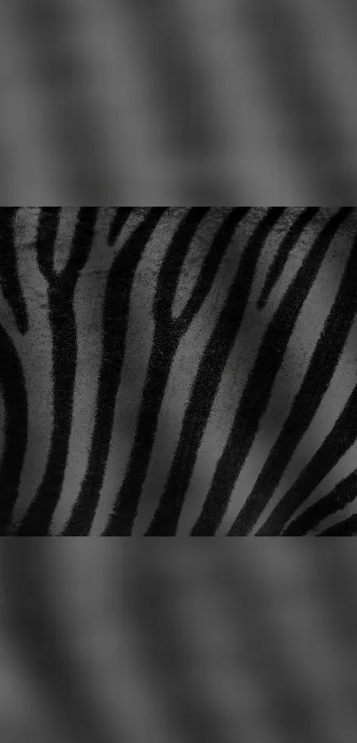 Mobile wallpaper featuring elegant black and grey zebra stripes.