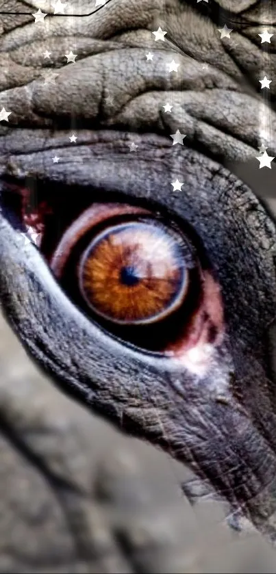 Close-up photograph of an elephant's eye showing detailed wrinkles and texture.