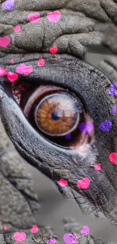 Close-up of an elephant's eye showing detailed skin texture and natural colors.