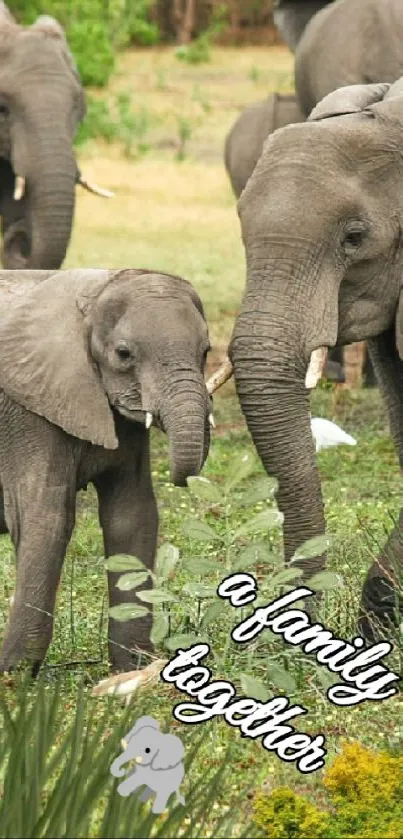 A family of elephants in a lush green landscape.