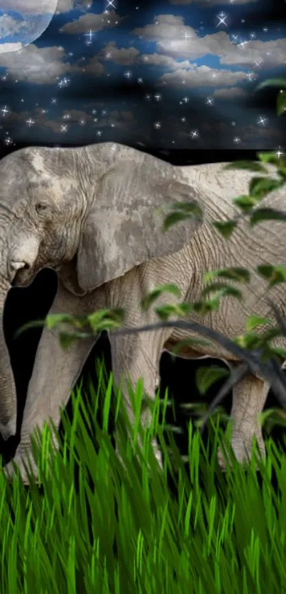 Elephant under a starry, cloudy night sky amidst green grass.