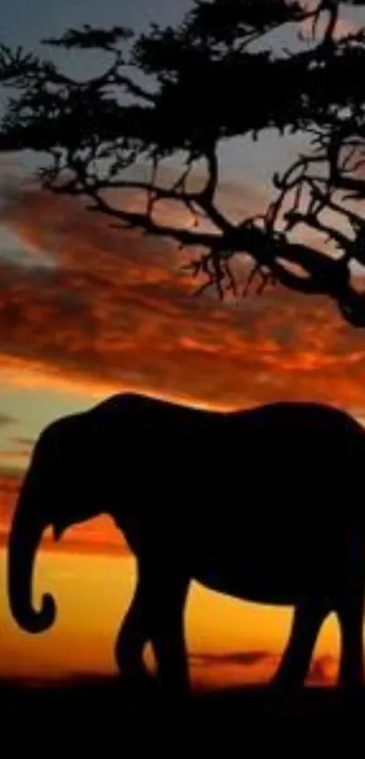 Elephant silhouette against an orange sunset with a tree.