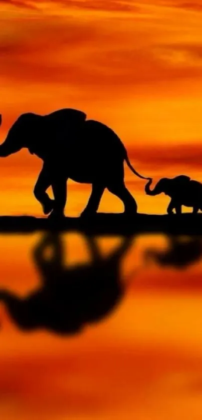 Elephants walking at sunset with reflections in vibrant orange hues.