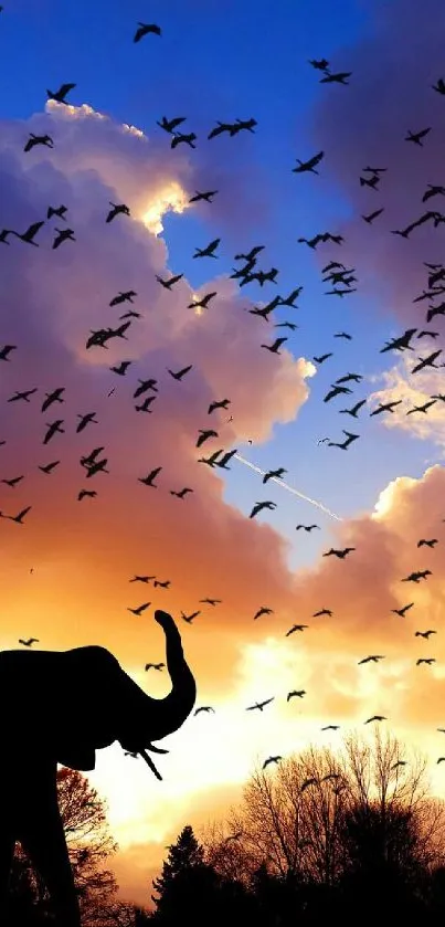 Elephant silhouette at sunset with birds flying in a colorful sky.