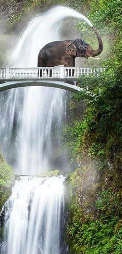 Elephant standing on a bridge over a lush waterfall cascade.