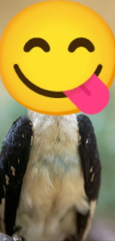 Bird with emoji face on fun wallpaper.