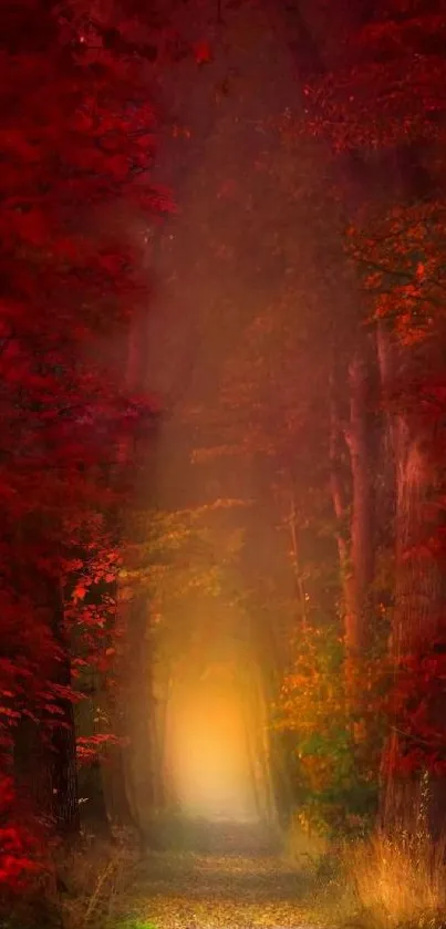 Mystical path through a crimson autumn forest, vivid and enchanting.