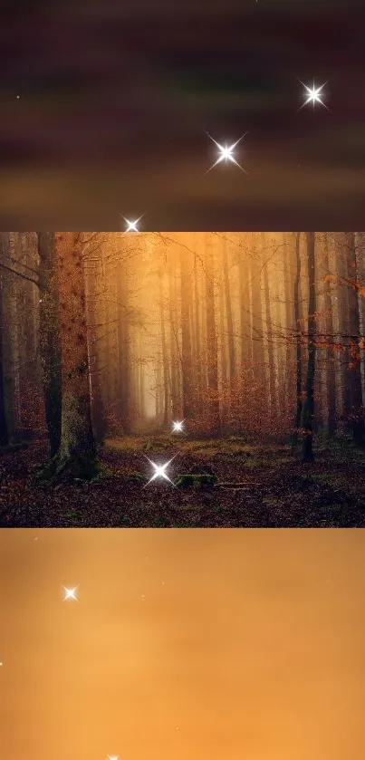 Serene autumn forest with mystical stars in a golden glow atmosphere.