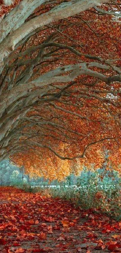 Vibrant autumn tree tunnel with fallen leaves and scenic pathway.