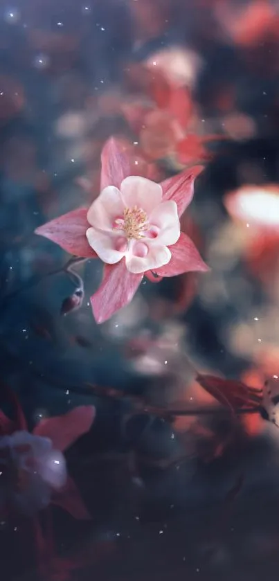 Pink and white blossom on dreamy dark background.