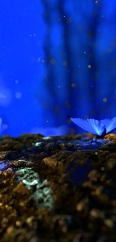 Blue butterflies resting in a magical forest setting with glowing lights.