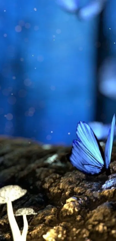 Blue butterflies and mushrooms in a mystical forest scene.