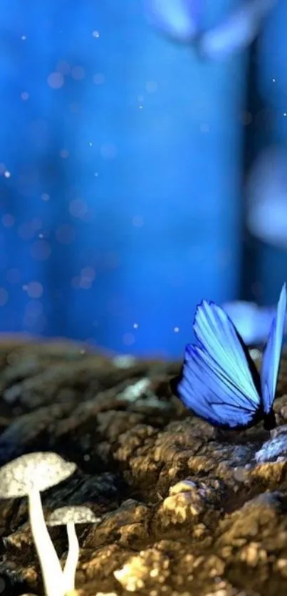 Blue butterfly and mushrooms in a mystical forest scene.