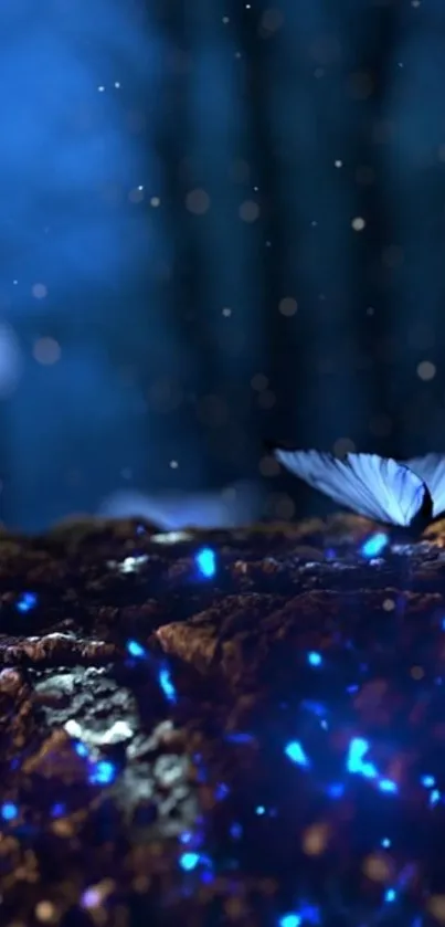 Blue butterflies glowing in a magical forest night scene.