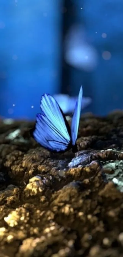 Enchanted blue butterfly on a glowing forest log background.