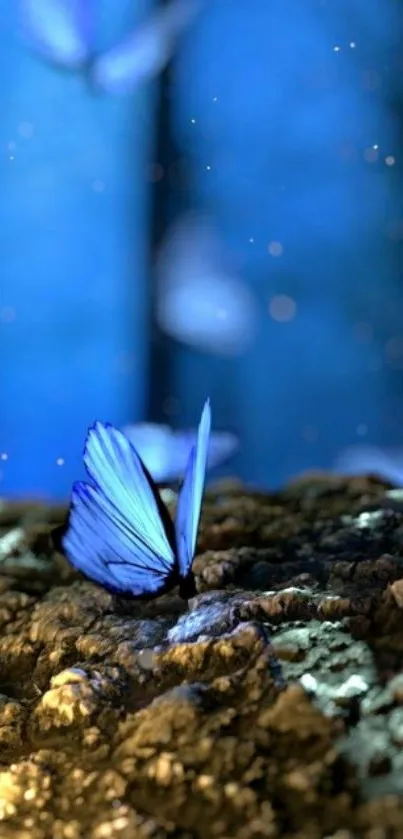 Blue butterfly in a dreamy forest scene.