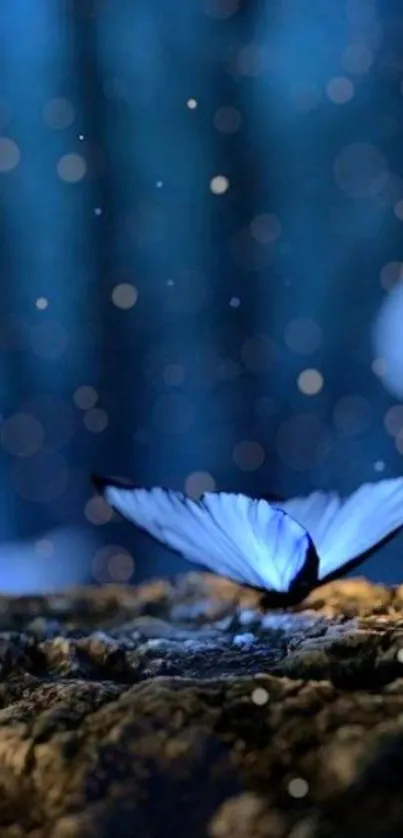 Enchanted blue butterfly on forest floor wallpaper with magical bokeh lights.