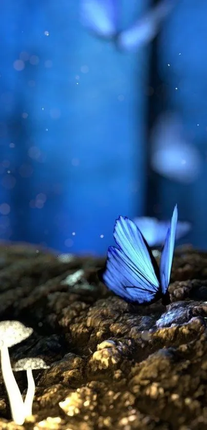 Enchanted scene with blue butterfly and glowing mushrooms.