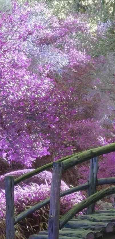 Enchanted pink forest with wooden bridge.