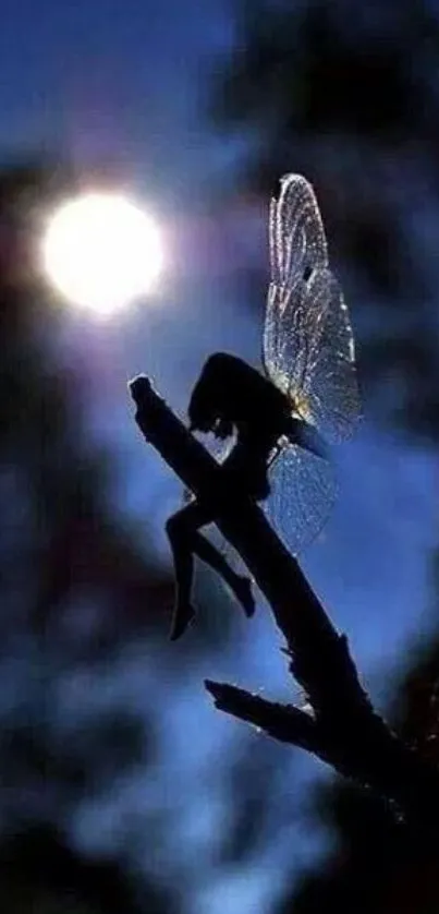 Silhouette of a fairy under a bright moon on a dark blue night sky.