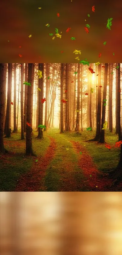 Autumn forest wallpaper with glowing path and falling leaves.