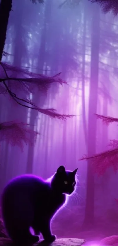 Black cat in enchanted purple forest with glowing aura.