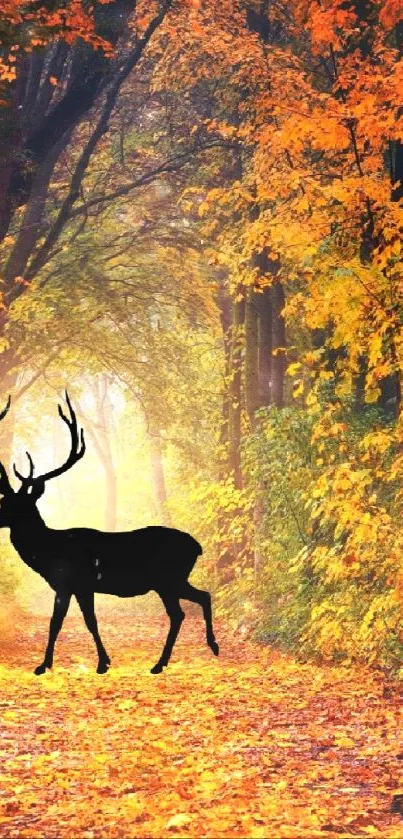 Autumn forest path with a deer silhouette surrounded by vibrant orange leaves.