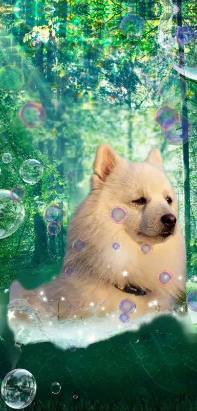 Dog in enchanted forest with bubbles and mystical light.