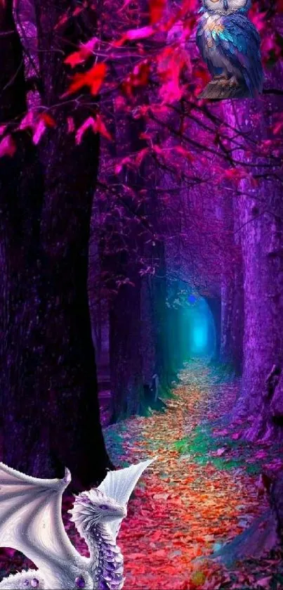 Dragon and owl in a mystical forest path.