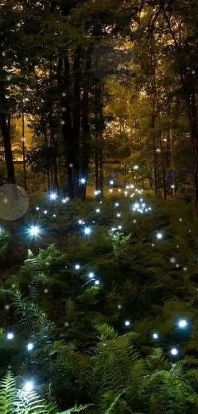 Enchanted forest with glowing fireflies at night.