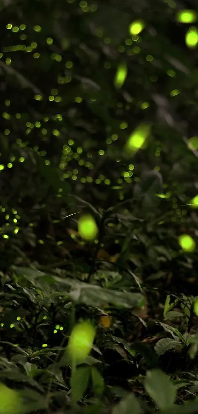 Fireflies glowing along a tranquil forest path.