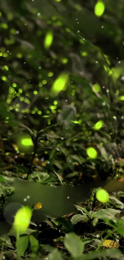 Enchanted forest with glowing fireflies.