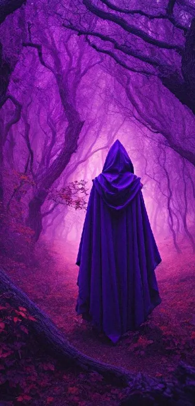 Hooded figure in an enchanted purple forest.