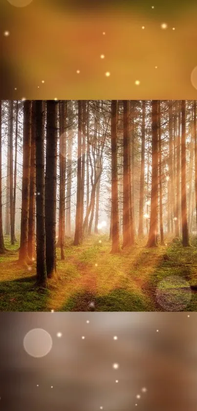 Sunlit forest with golden hues and magical atmosphere.