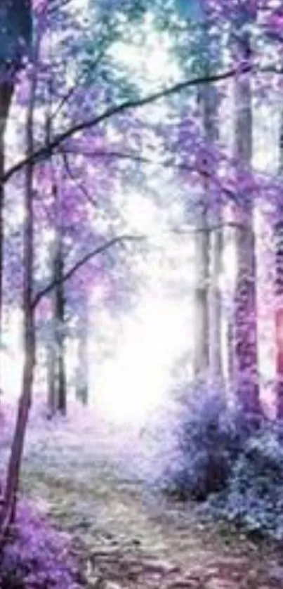 Purple forest path with sunlit trees and mystical atmosphere.