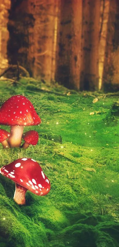 Enchanted forest with red mushrooms and moss.