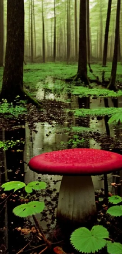 Lush green forest with a striking red mushroom.